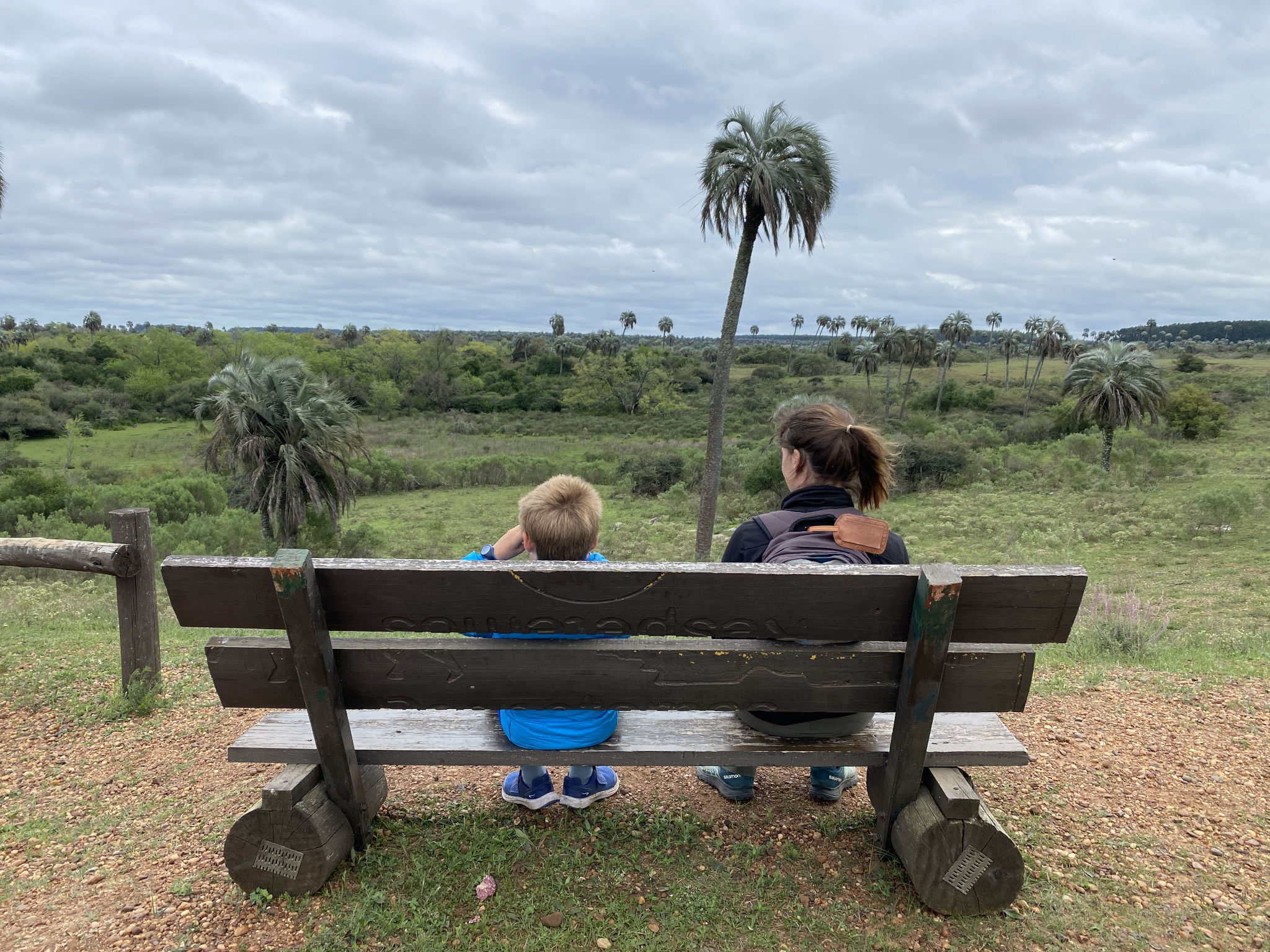 Point de vue dans le Parc El Palmar