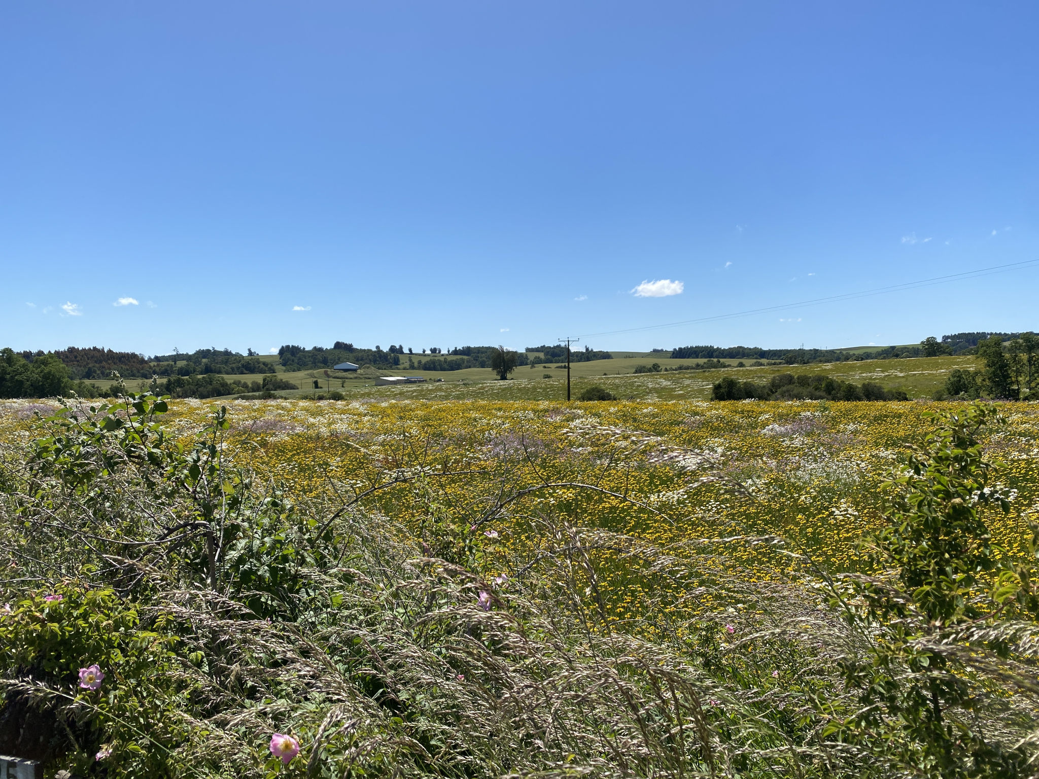 Une vue de la Region de Los Lagos