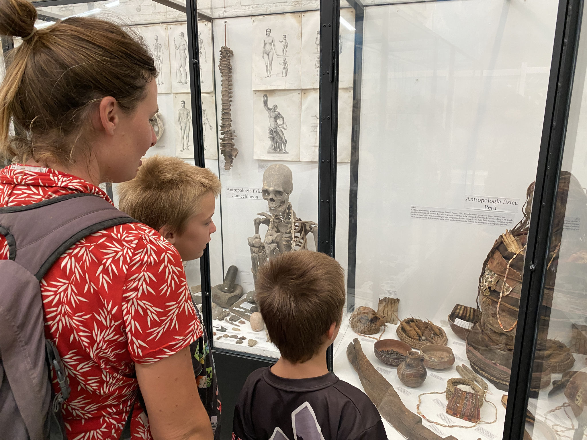 Paléontologie Musée Rocsen