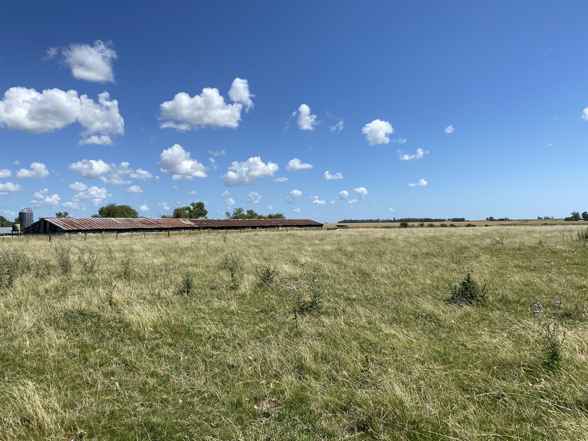 Une vue en Entre Rios