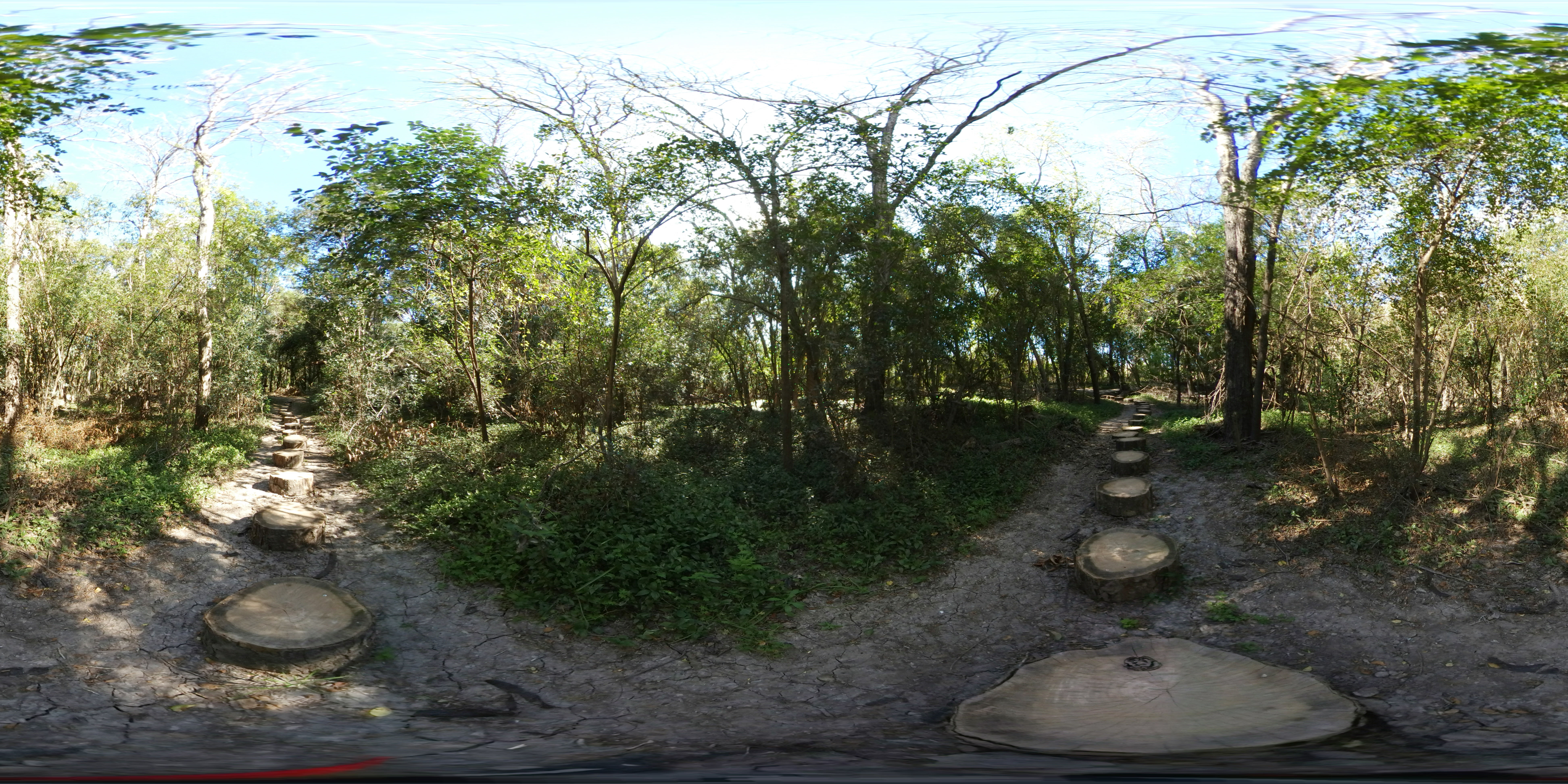 Chemin dans le Parc San Martin